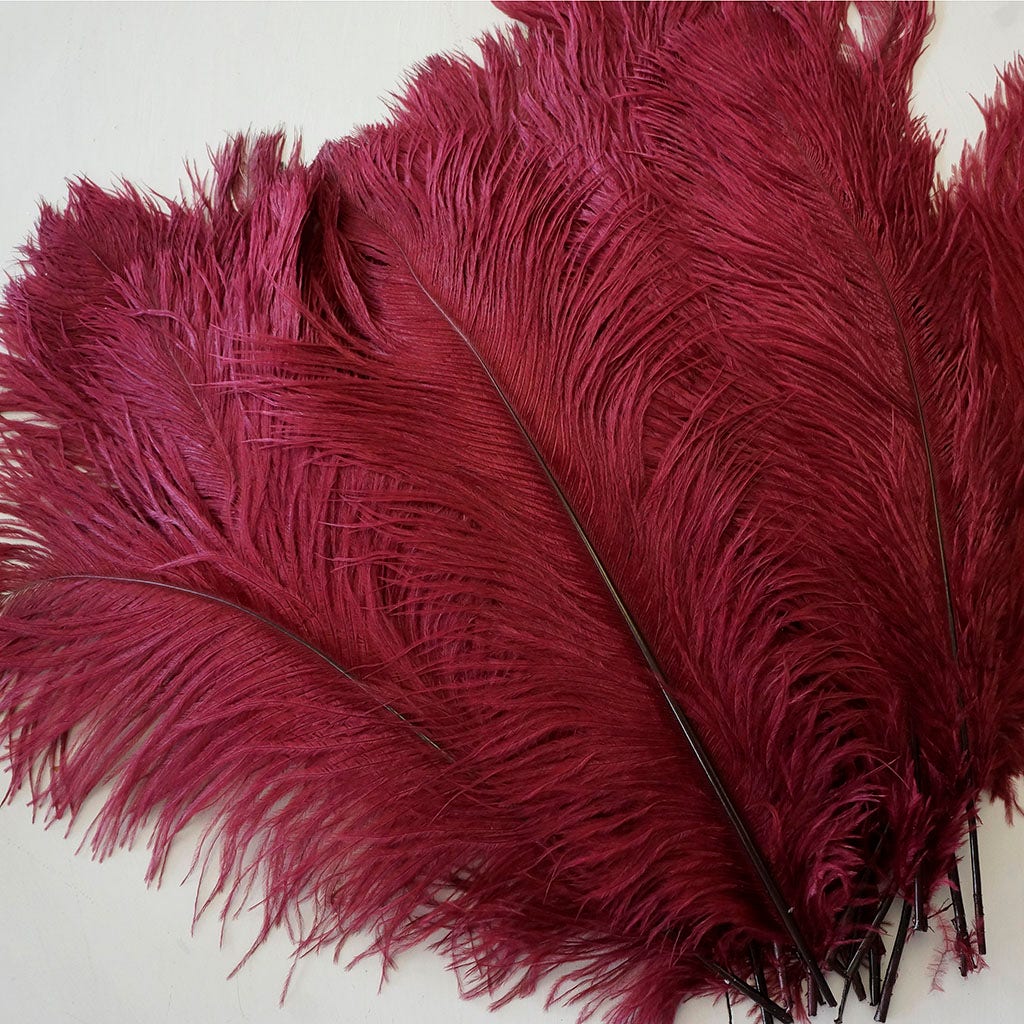 Large Ostrich Feathers - 17"+ Drabs - Burgundy
