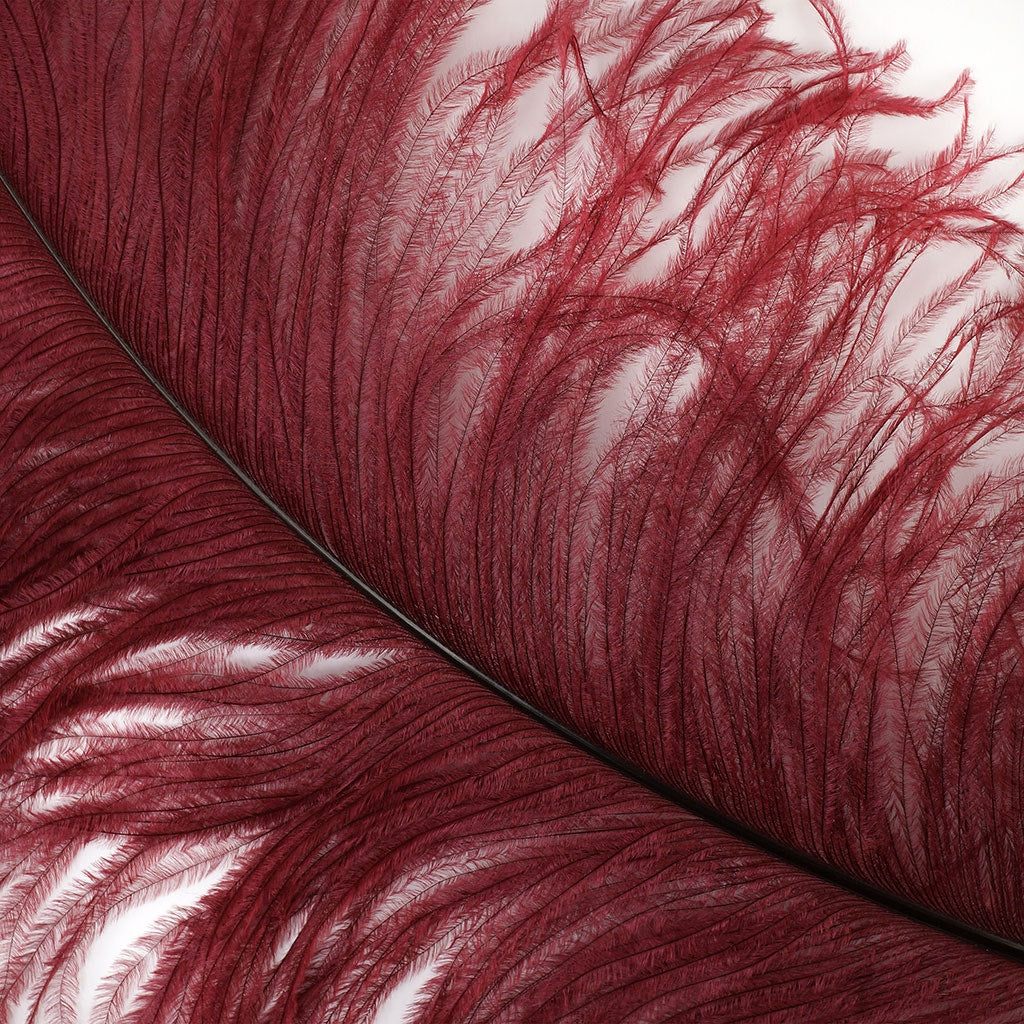 Large Ostrich Feathers - 20-25" Prime Femina Plumes - Burgundy