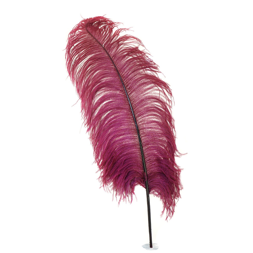 Large Ostrich Feathers 20 25