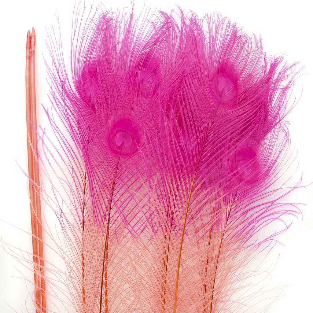 Peacock Eyes Bleached/Dyed & Tipped Feathers - 25-40 Inch - 10 PCS - Coral - Shocking Pink