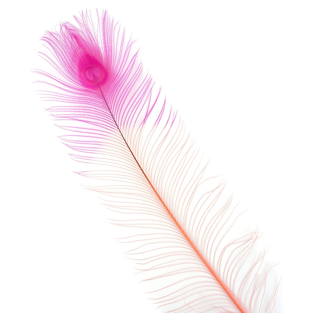 Peacock Eyes Bleached/Dyed & Tipped Feathers - 25-40 Inch - 10 PCS - Coral - Shocking Pink