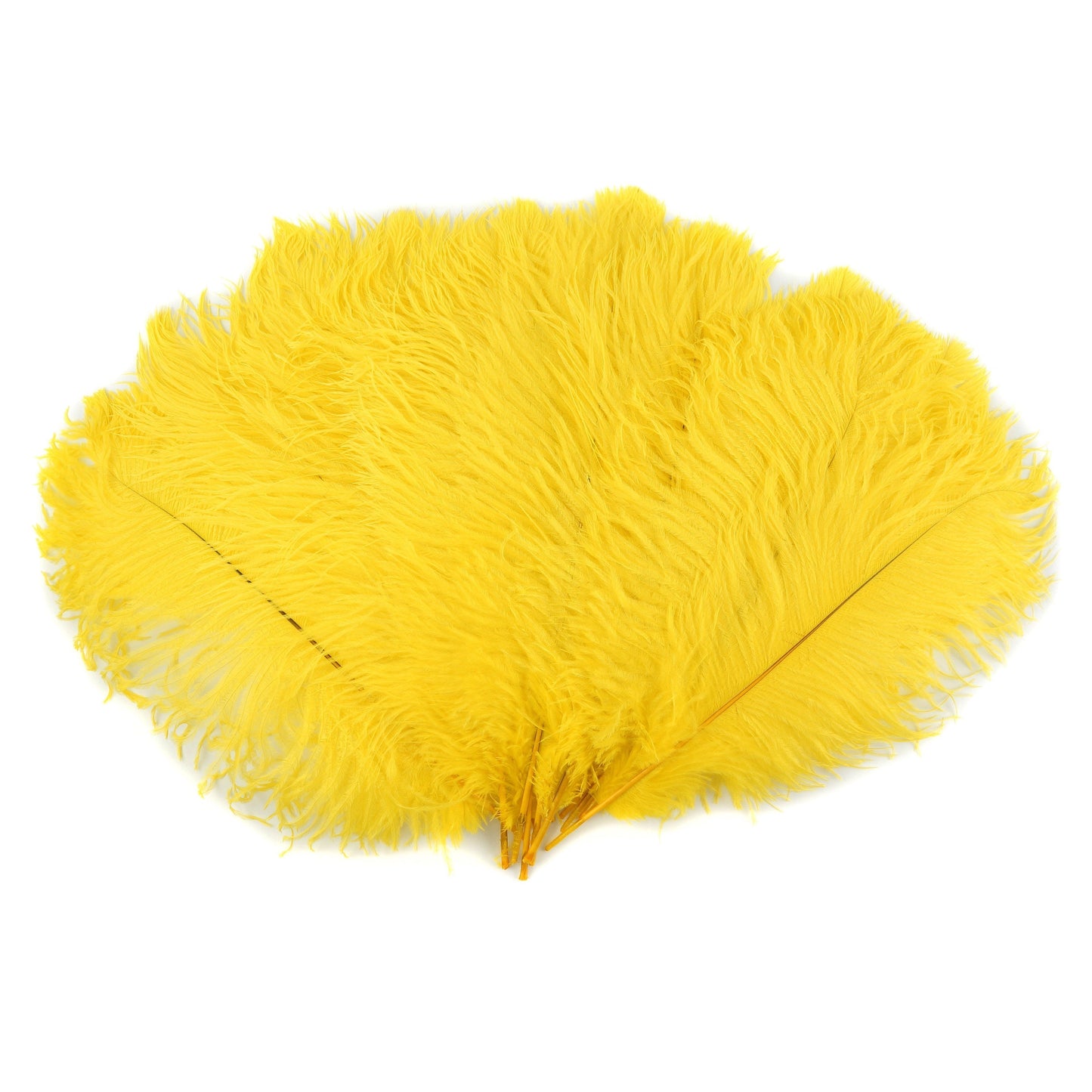 Ostrich Feathers 13-16" Drabs - Yellow
