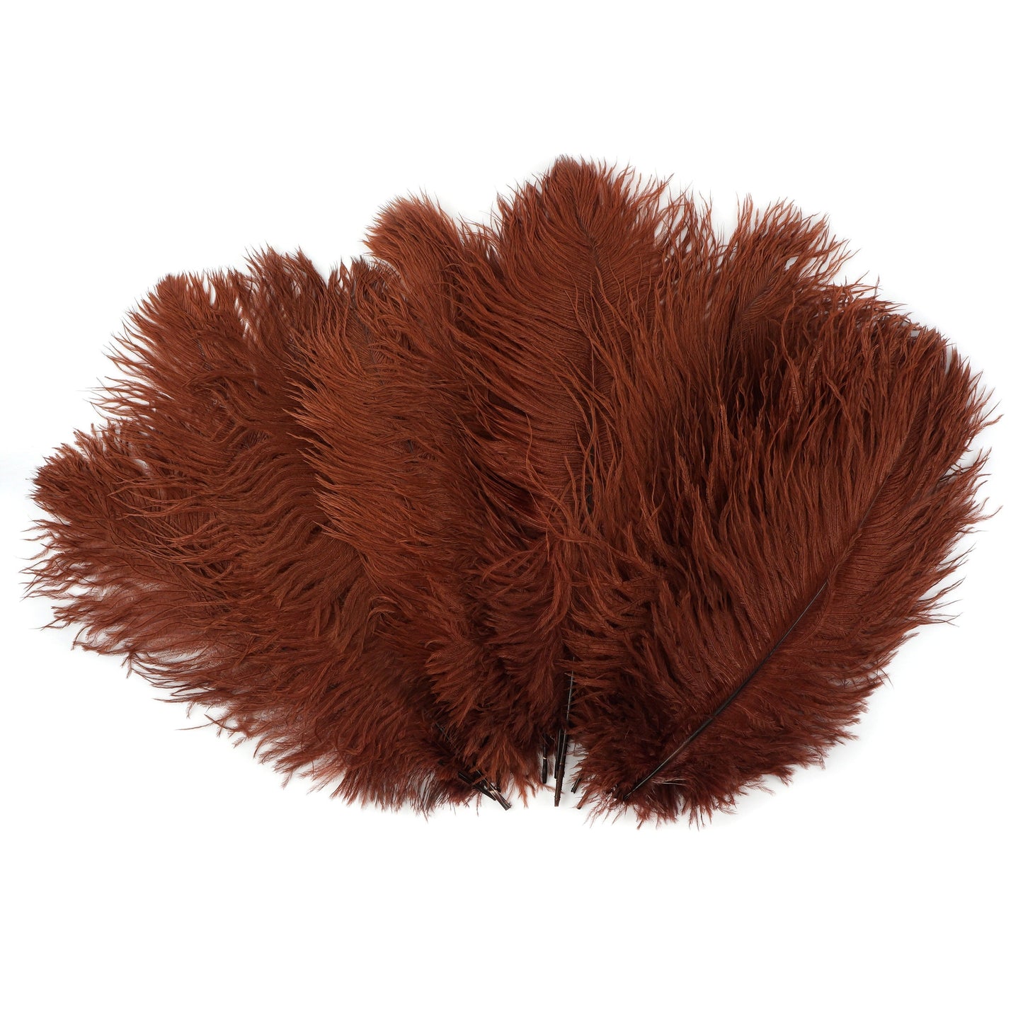 Ostrich Feathers 13-16" Drabs - Copper