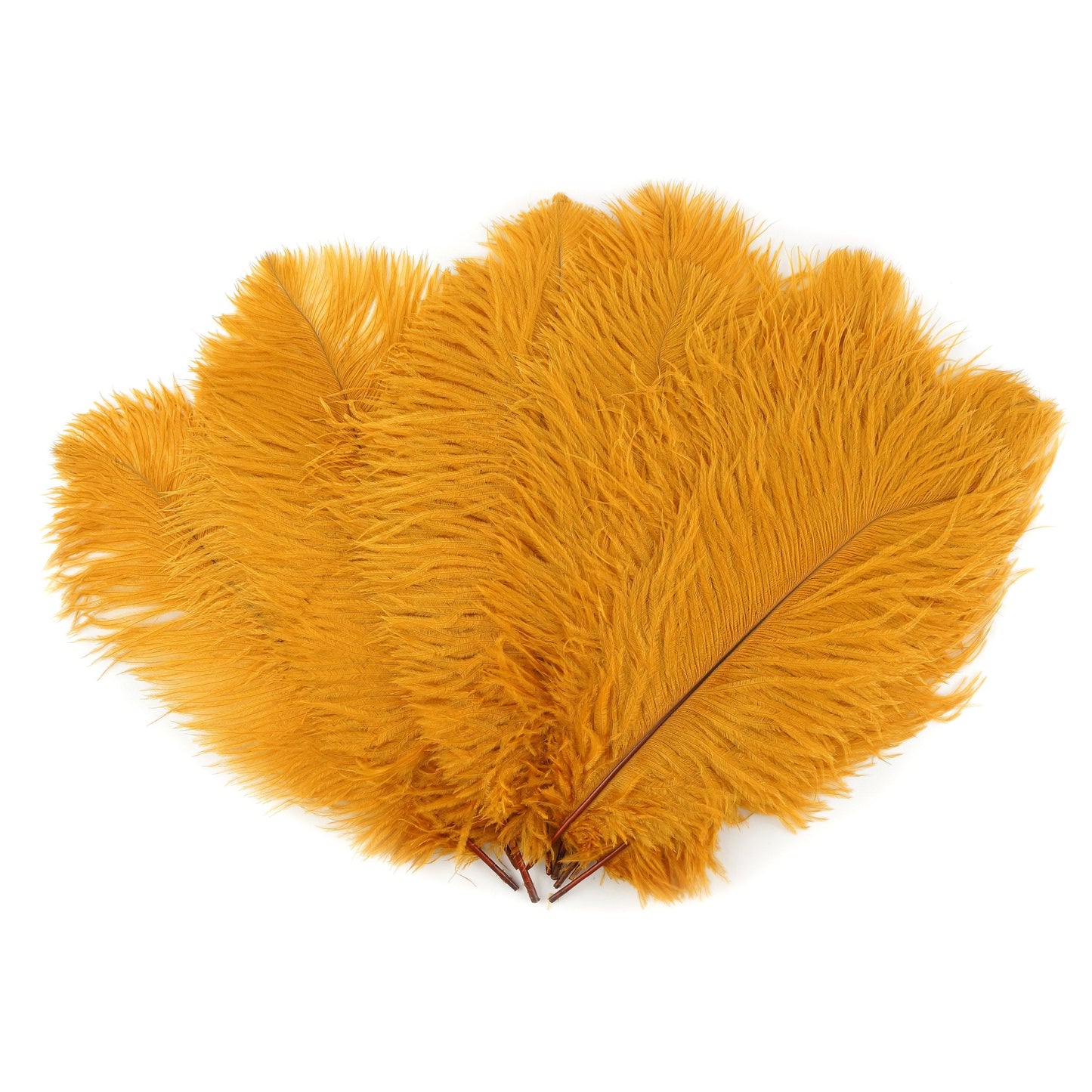Ostrich Feathers 13-16" Drabs - Marigold