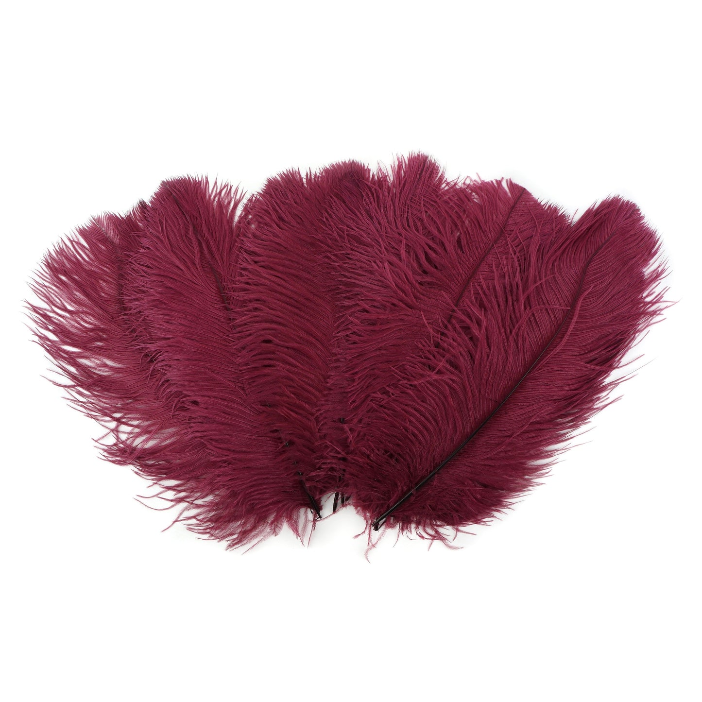 Ostrich Feathers 13-16" Drabs - Burgundy
