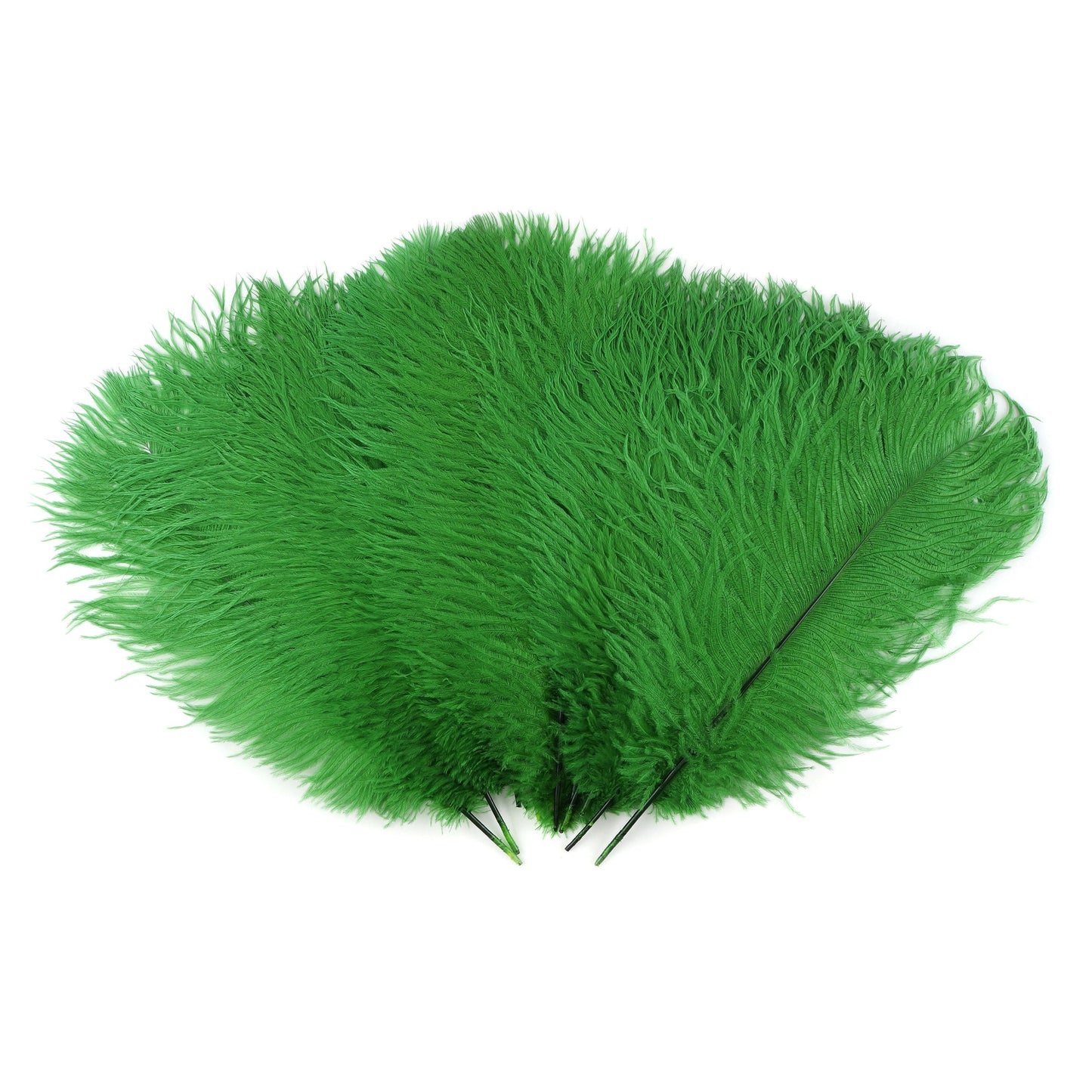 Ostrich Feathers 13-16" Drabs - Kelly