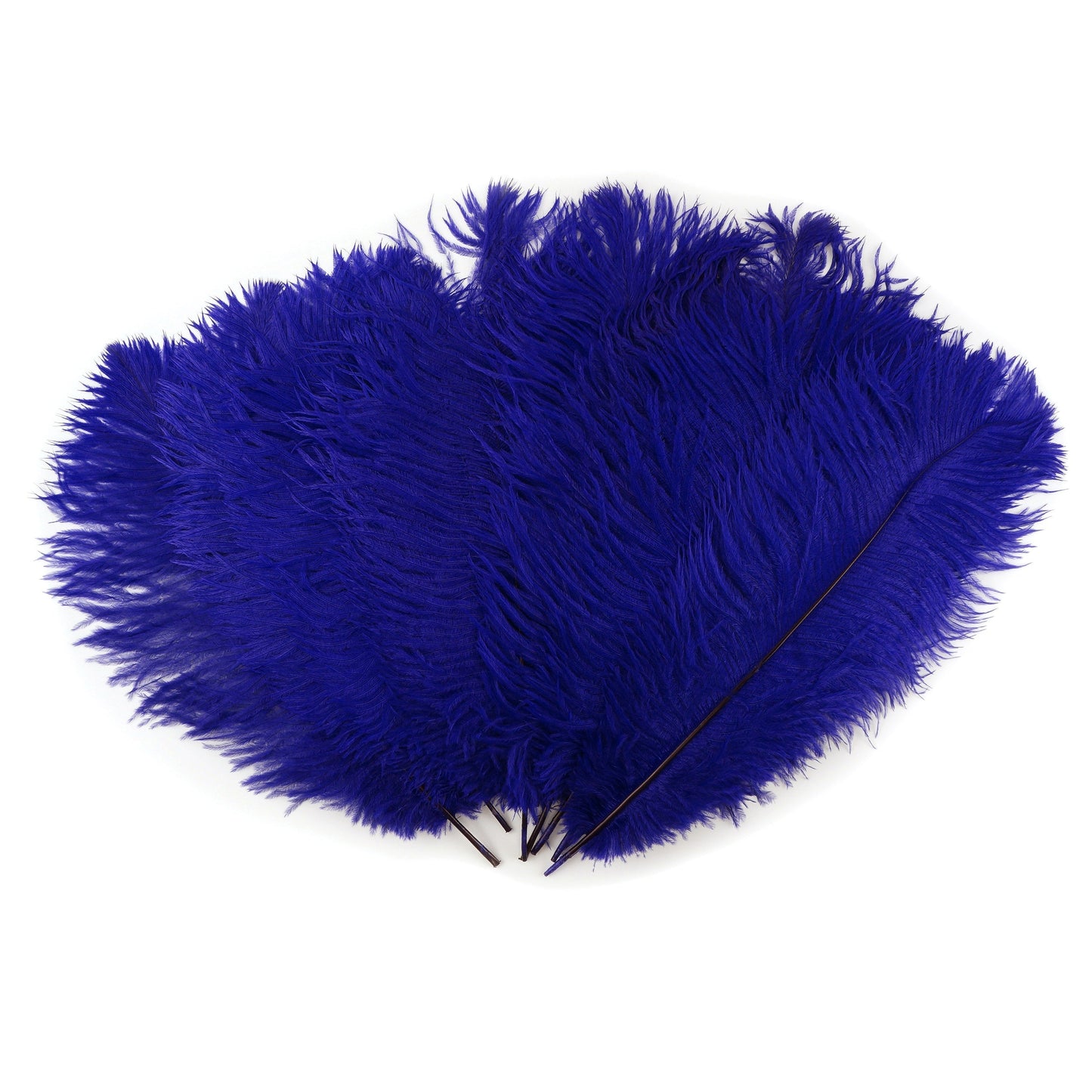 Ostrich Feathers 13-16" Drabs - Regal