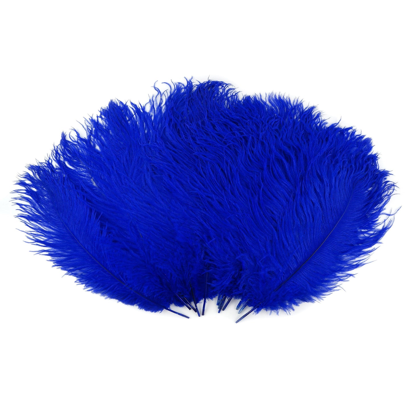 Ostrich Feathers 13-16" Drabs - Royal