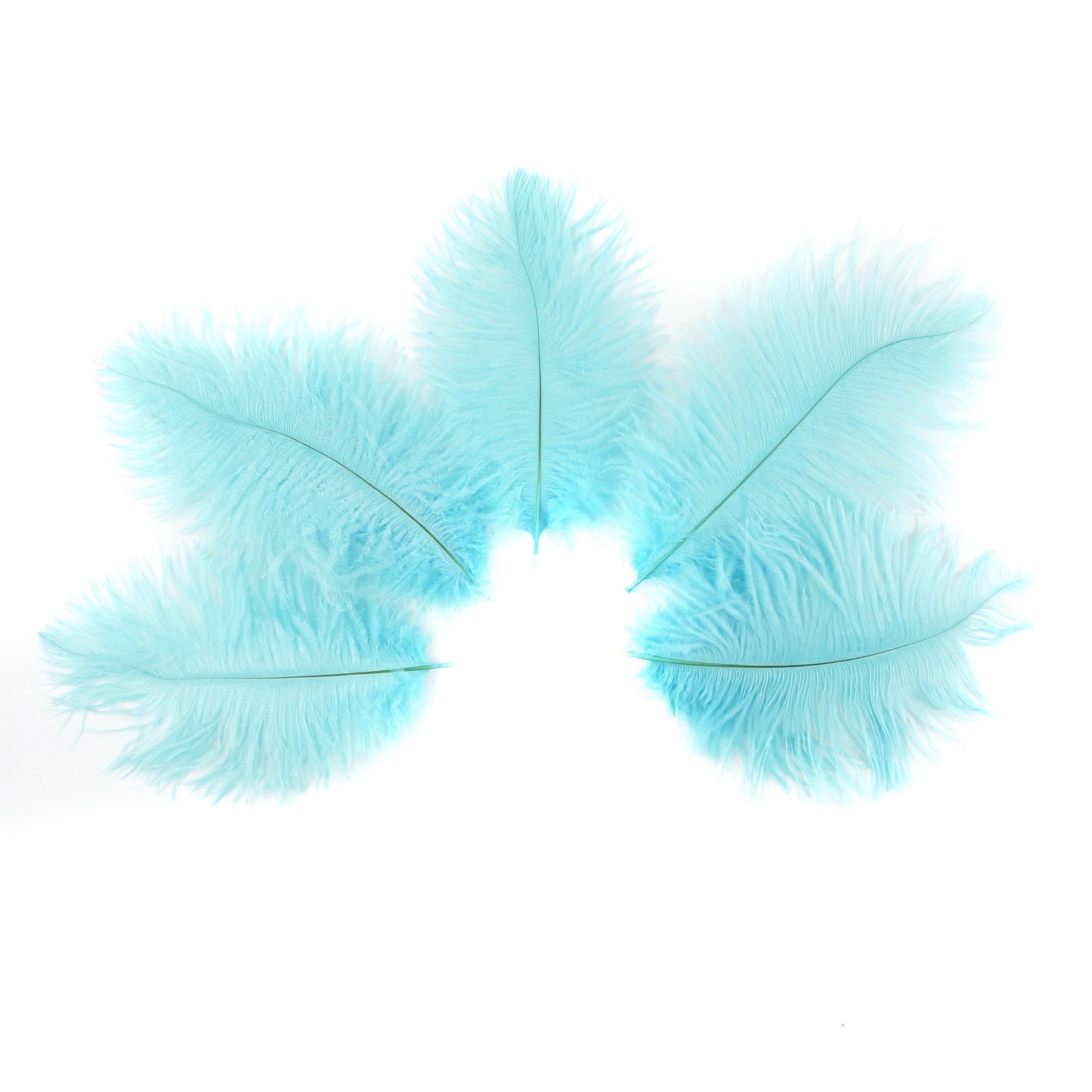 Ostrich Feathers 4-8" Drabs - Light Turquoise