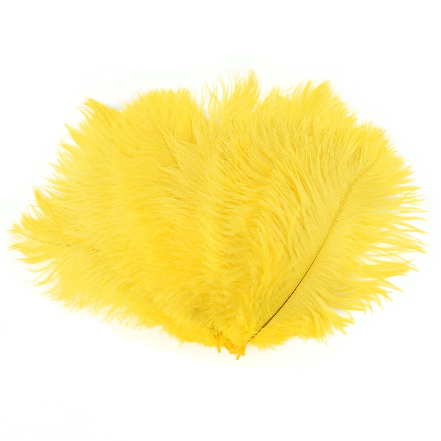 Ostrich Feathers 4-8" Drabs - Yellow