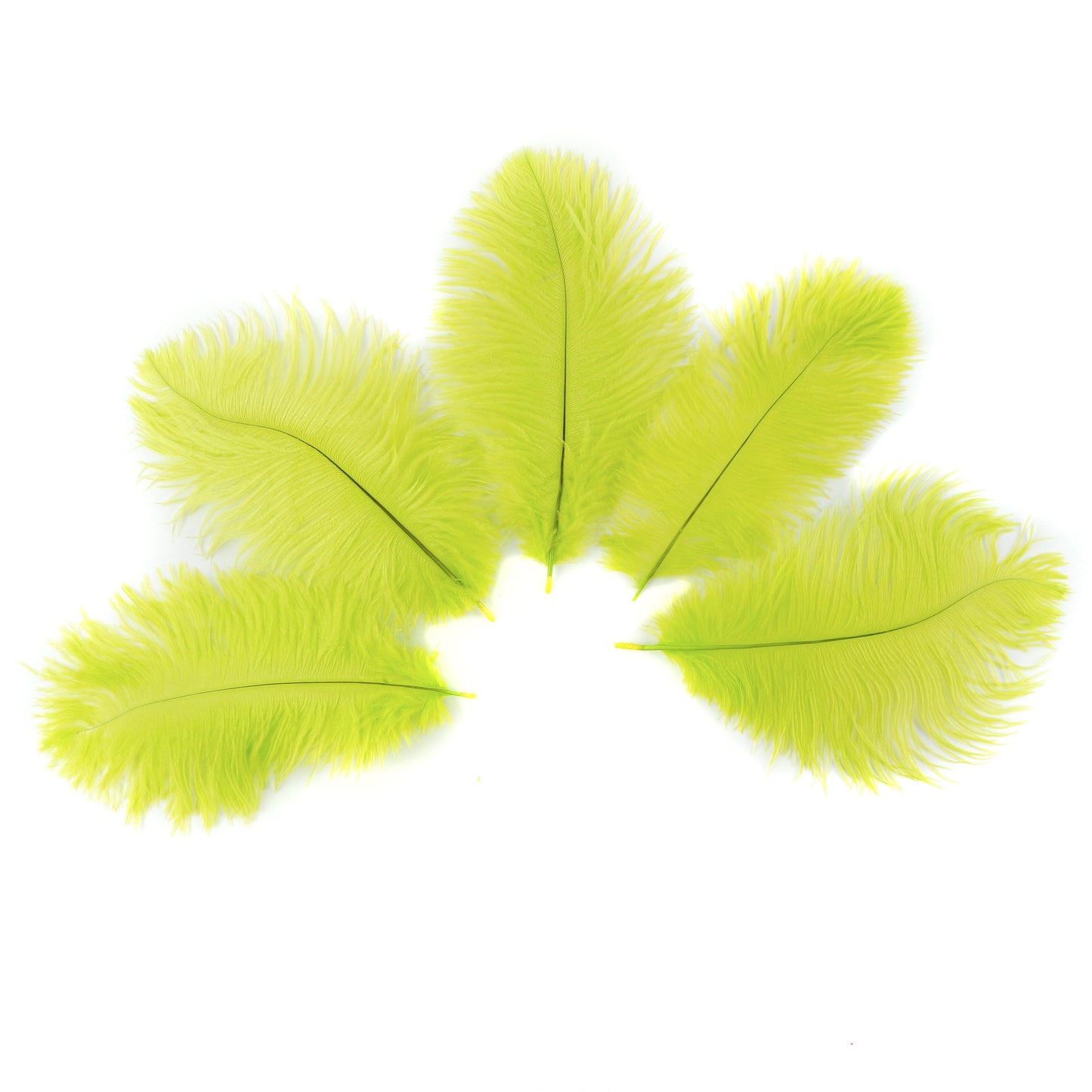 Ostrich Feathers 4-8" Drabs - Lime