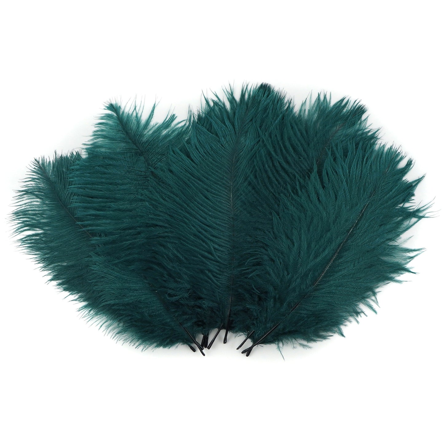 Ostrich Feathers 4-8" Drabs - Teal