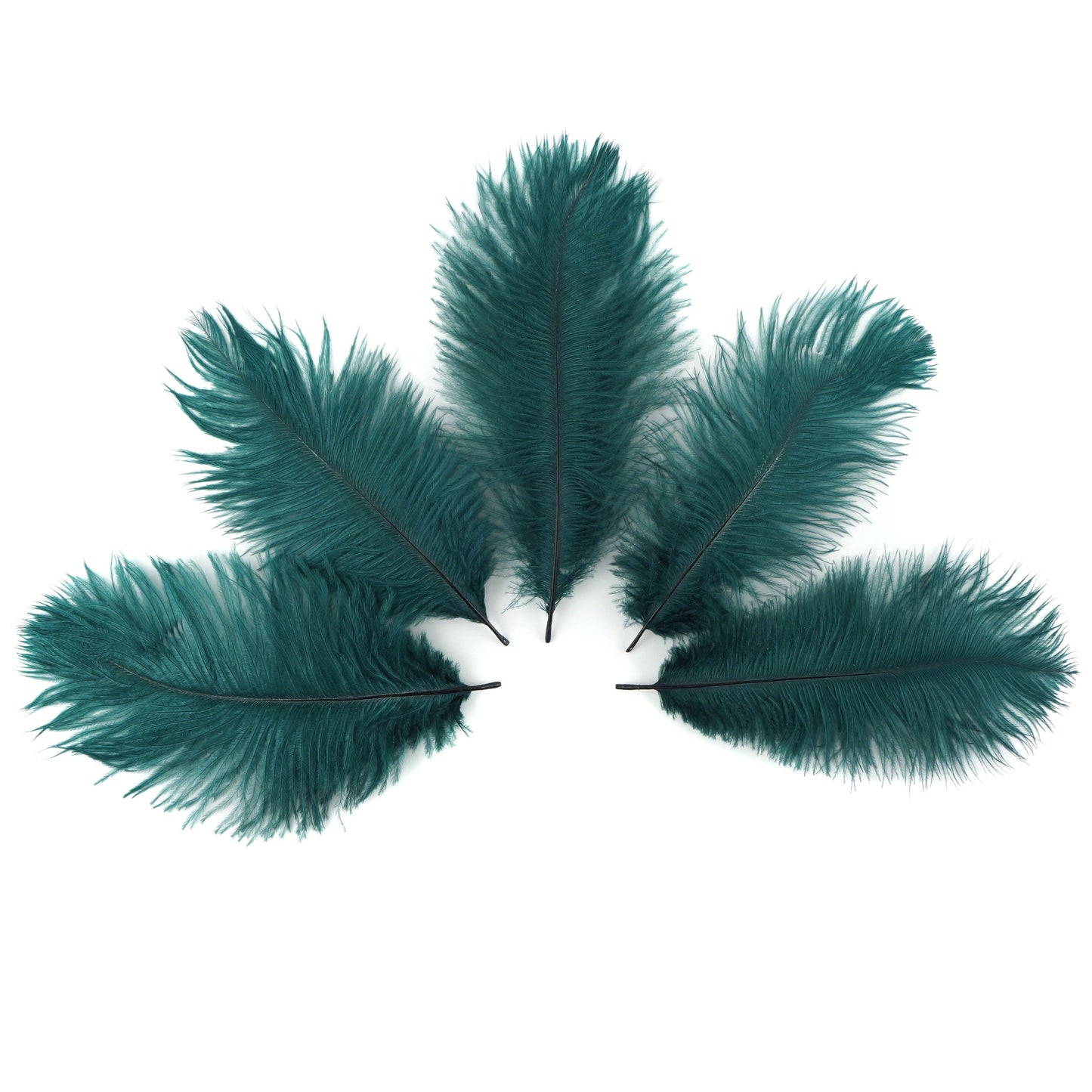 Ostrich Feathers 4-8" Drabs - Teal