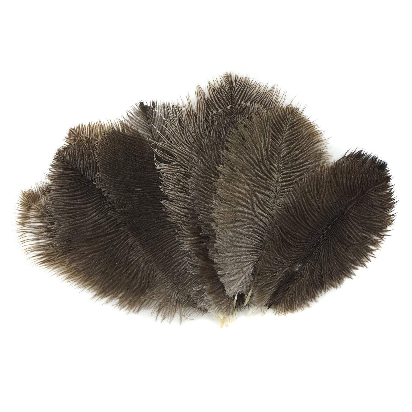 Ostrich Feathers 4-8" Drabs - Natural