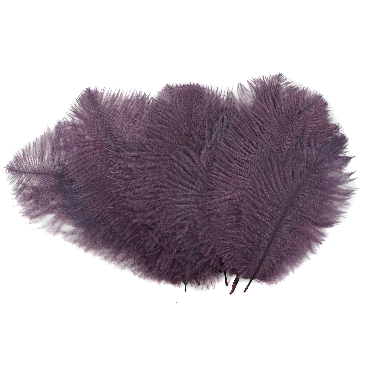 Ostrich Feathers 4-8" Drabs - Amethyst