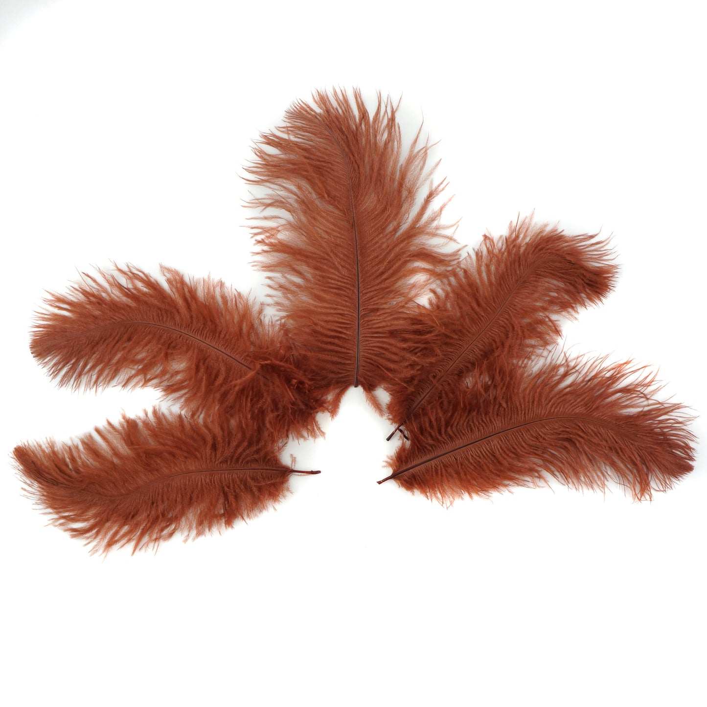 Ostrich Feathers 4-8" Drabs - Copper