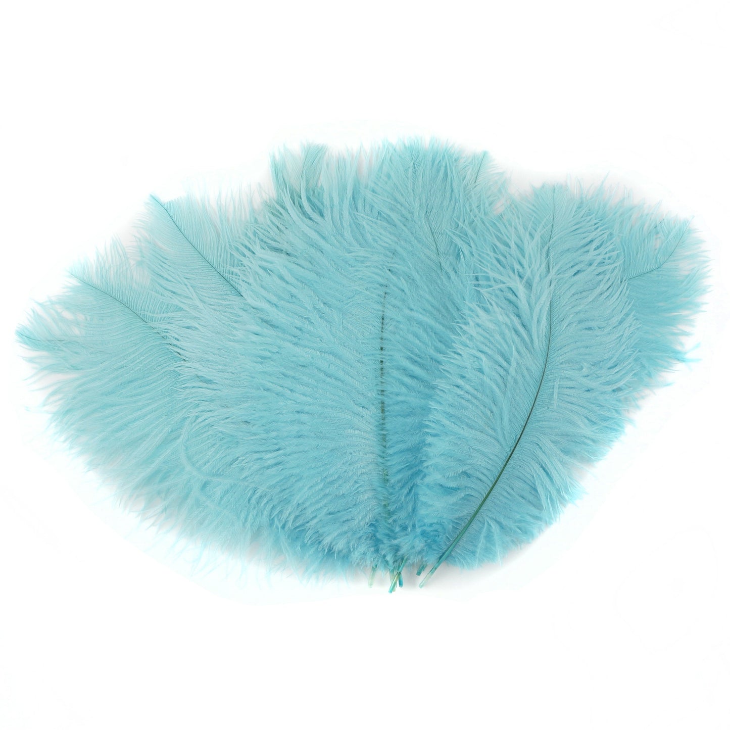 Ostrich Feathers 9-12" Drabs - Light Turquoise