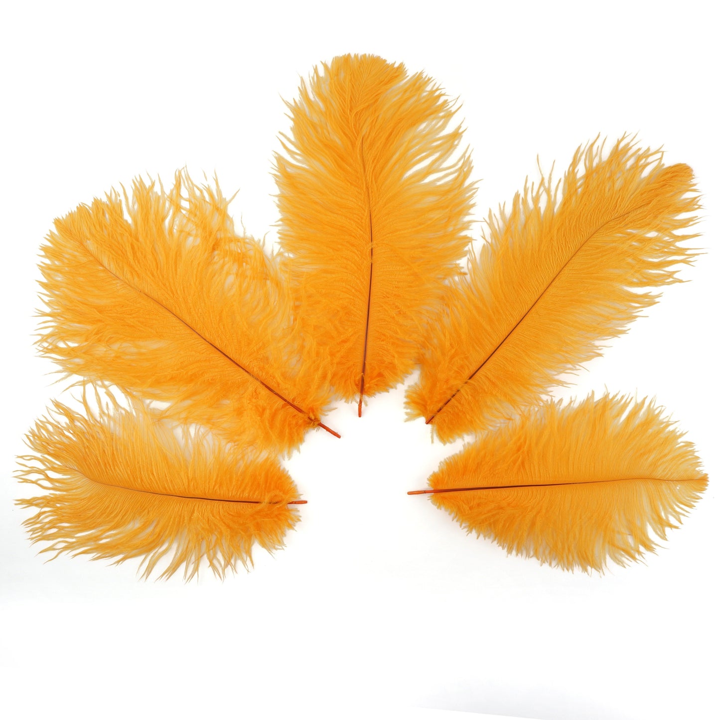 Ostrich Feathers 9-12" Drabs - Mango