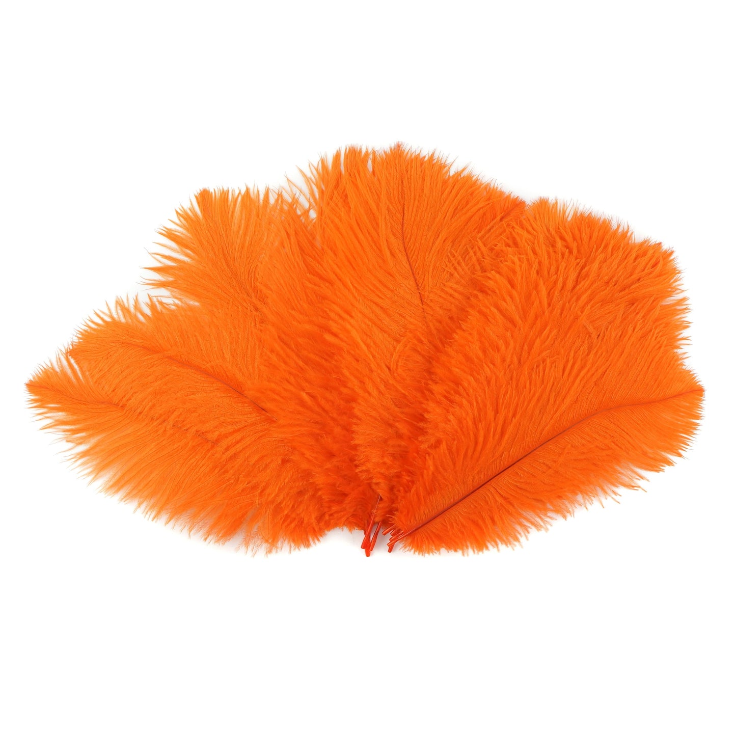 Ostrich Feathers 9-12" Drabs - Orange