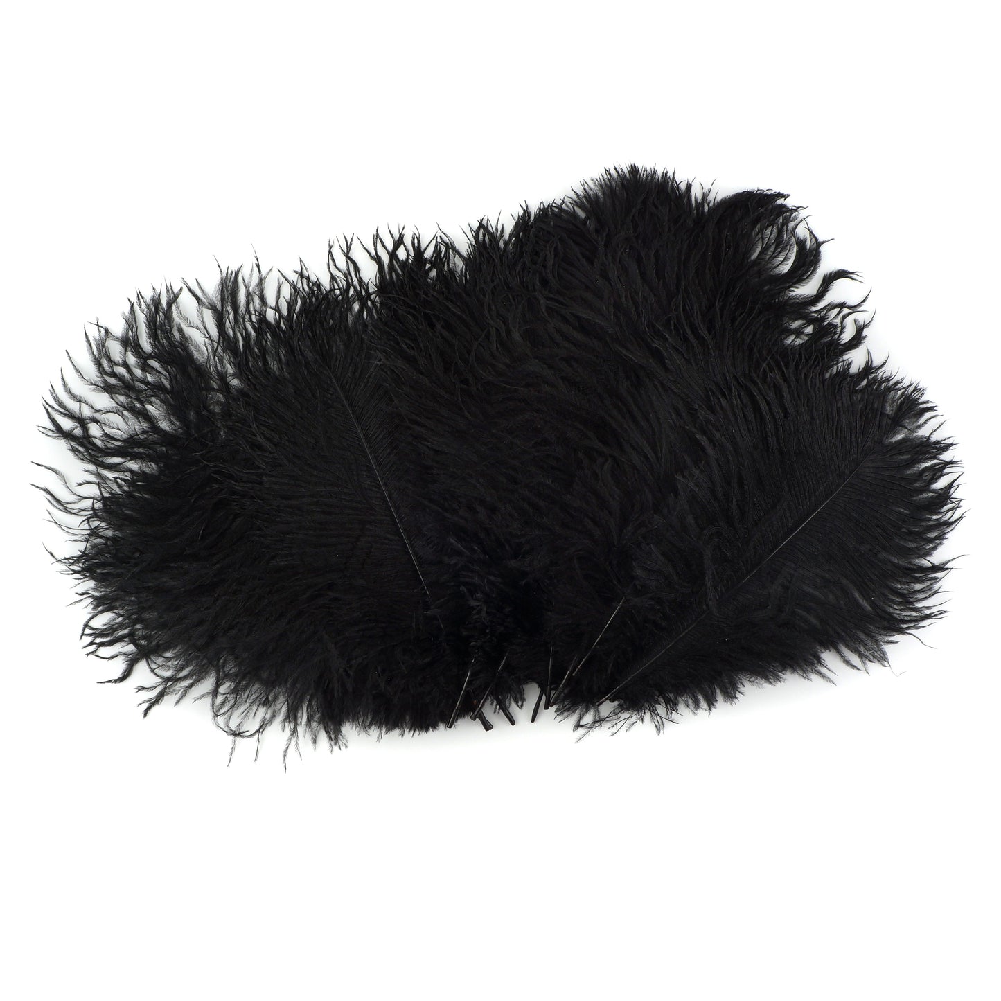 Ostrich Feathers 9-12" Drabs -  Black