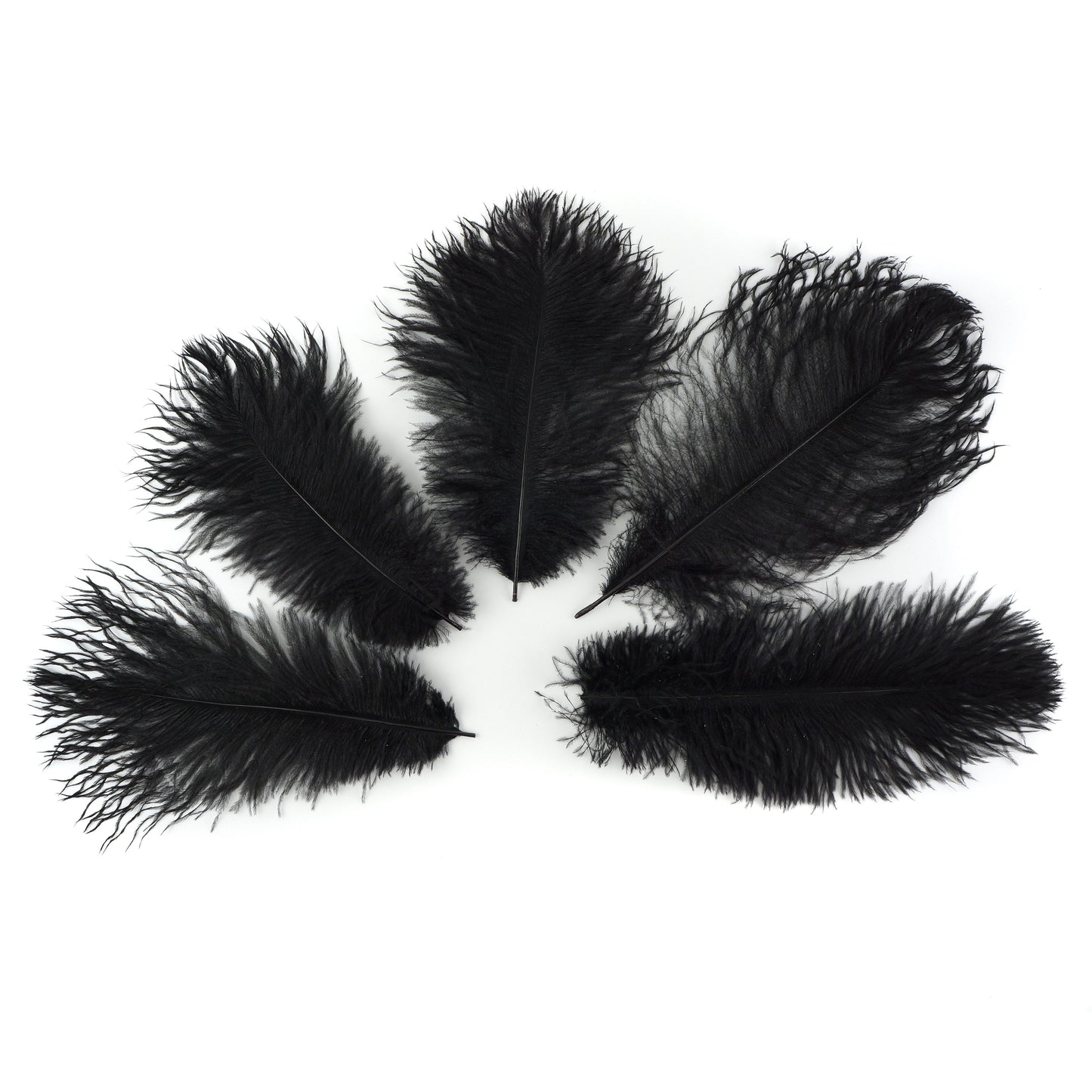 Ostrich Feathers 9-12" Drabs -  Black