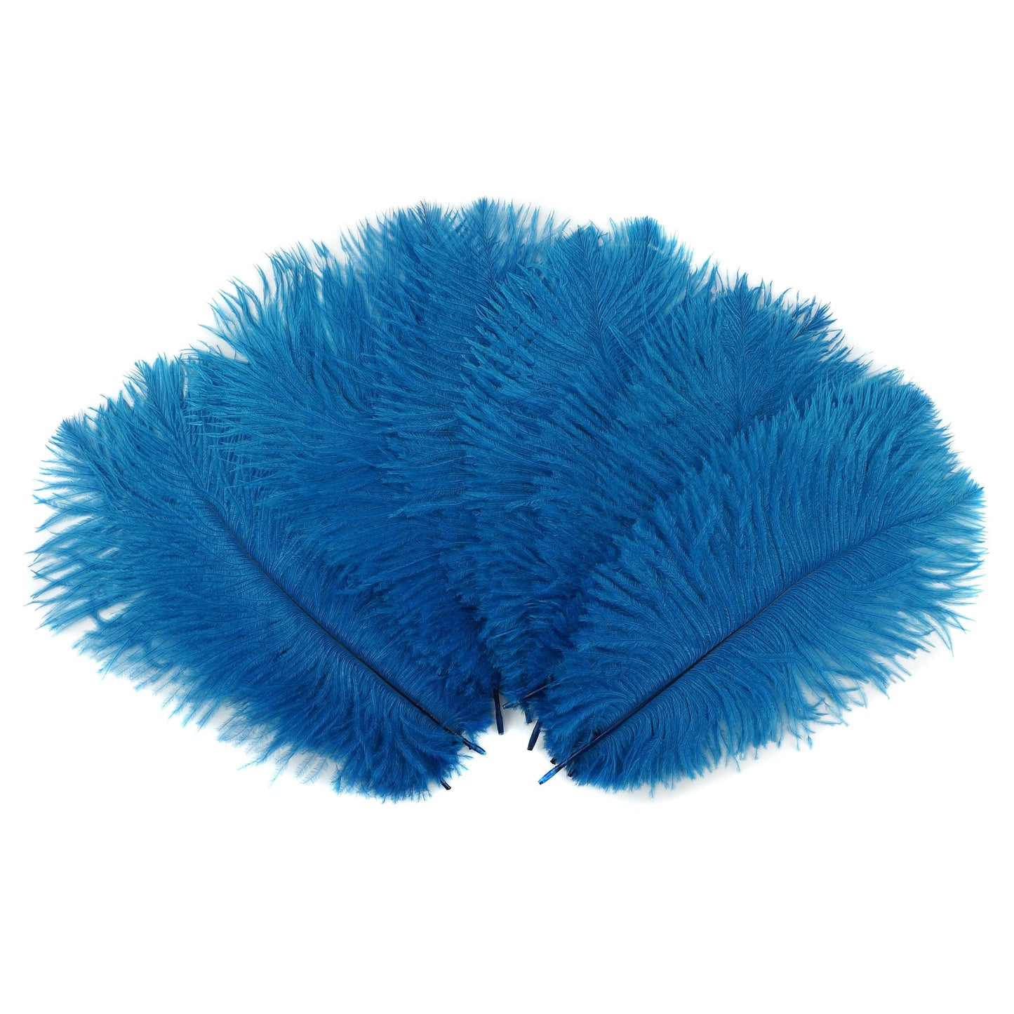 Ostrich Feathers 9-12" Drabs - Dark Turquoise