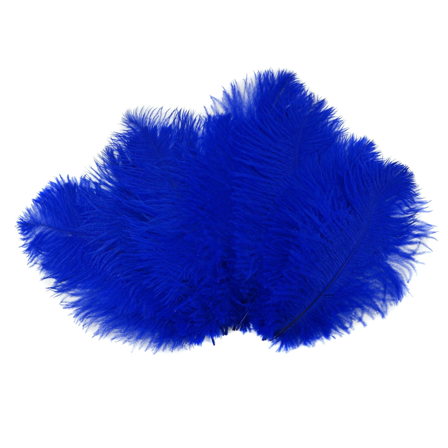 Ostrich Feathers 9-12" Drabs - Royal