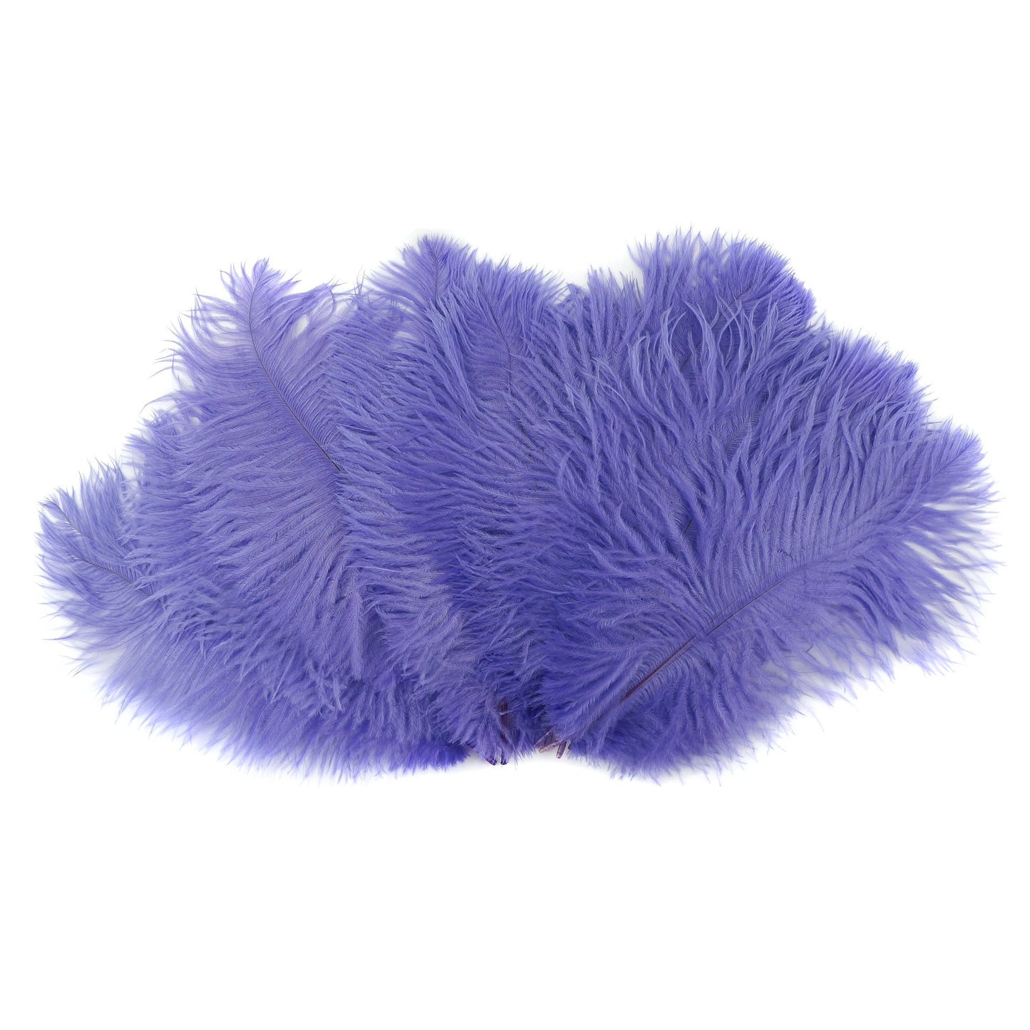 Ostrich Feathers 9-12" Drabs - Lavender