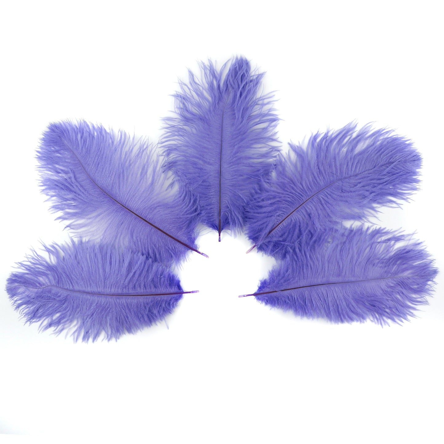 Ostrich Feathers 9-12" Drabs - Lavender