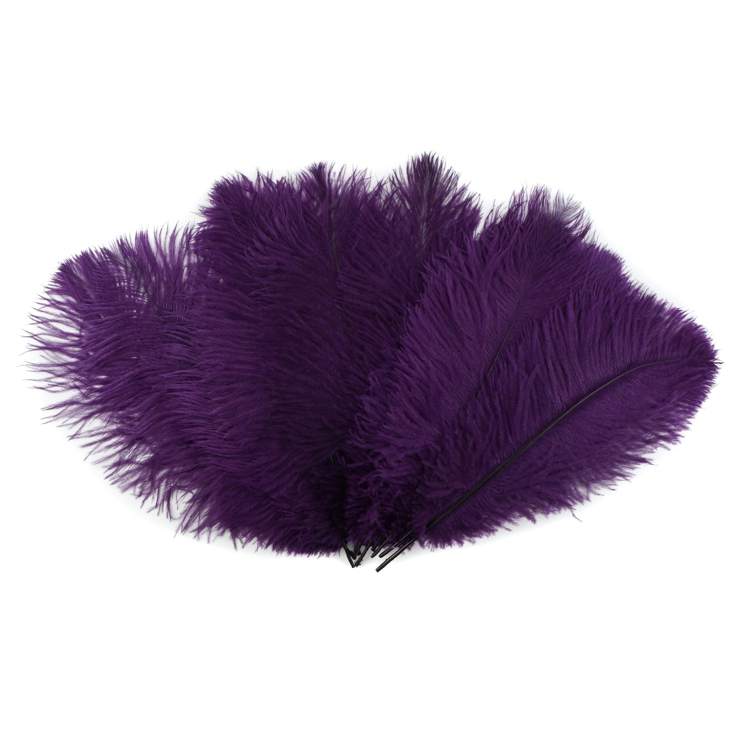 Ostrich Feathers 9-12" Drabs - Purple
