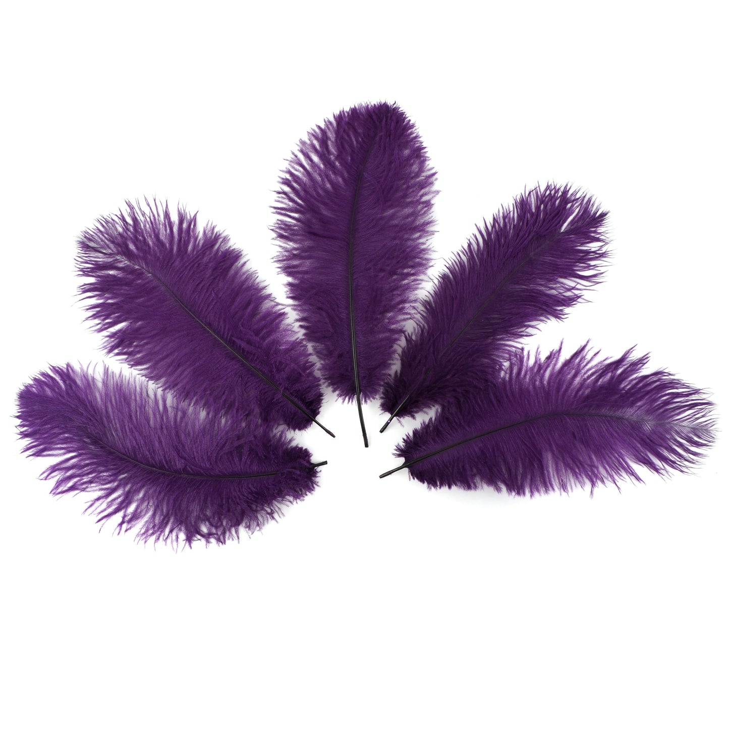 Ostrich Feathers 9-12" Drabs -  Purple