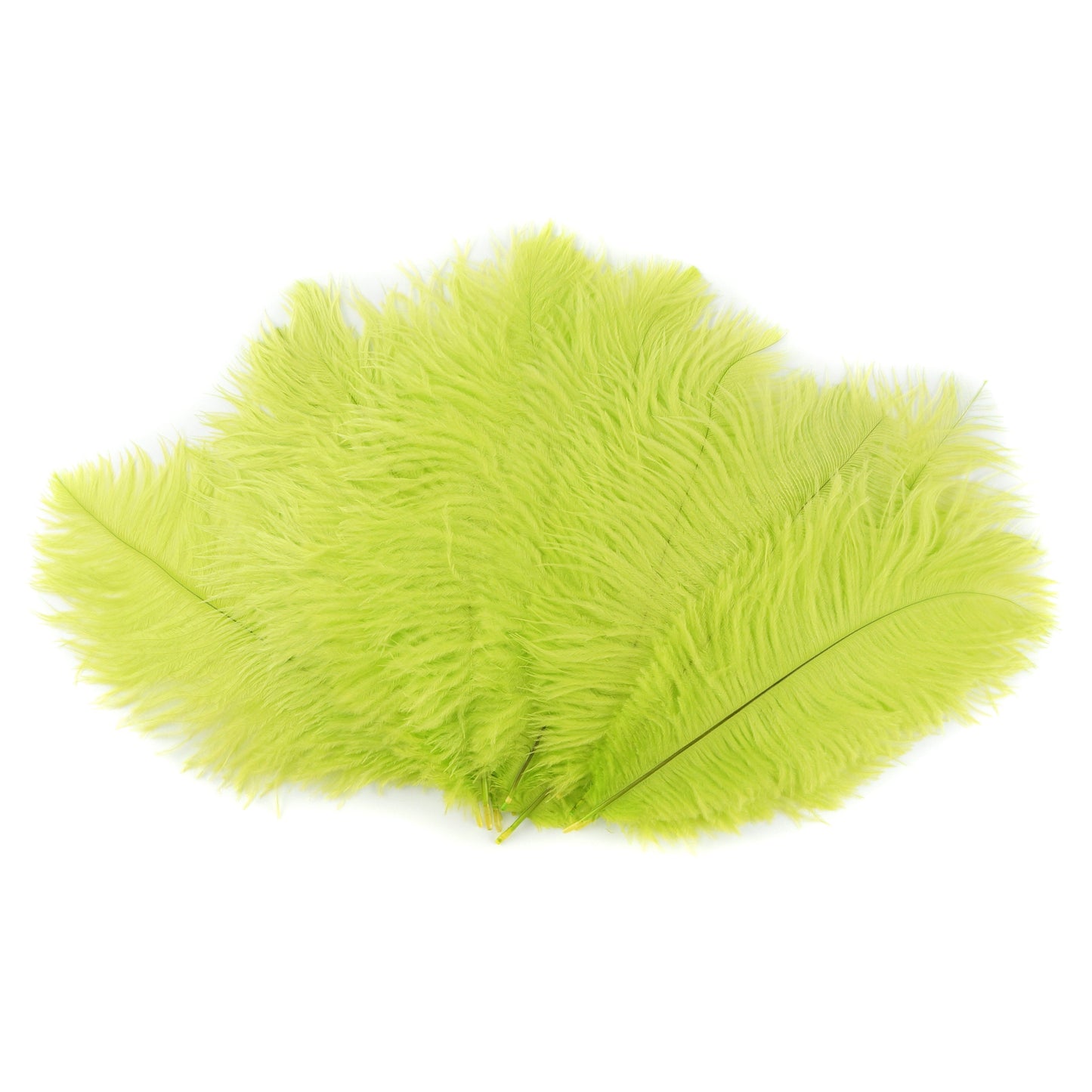 Ostrich Feathers 9-12" Drabs - Lime