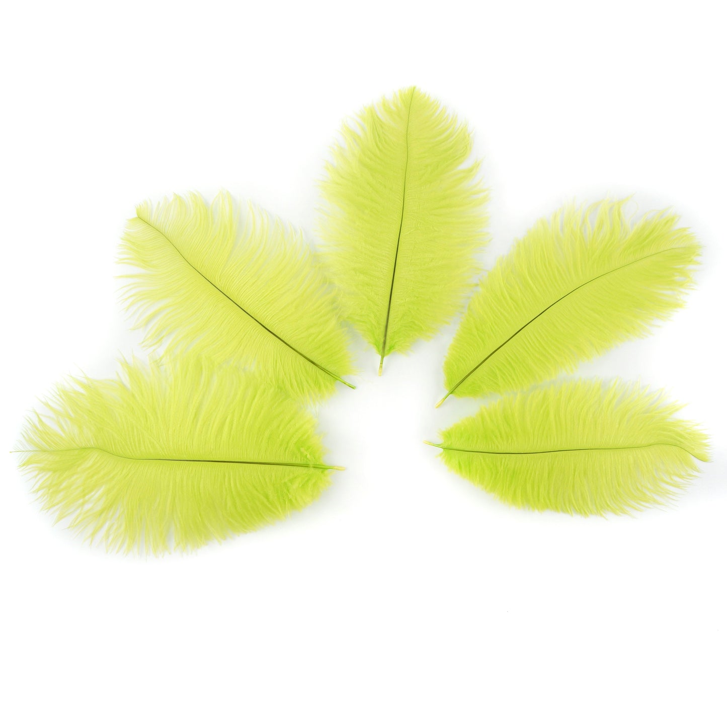 Ostrich Feathers 9-12" Drabs - Lime