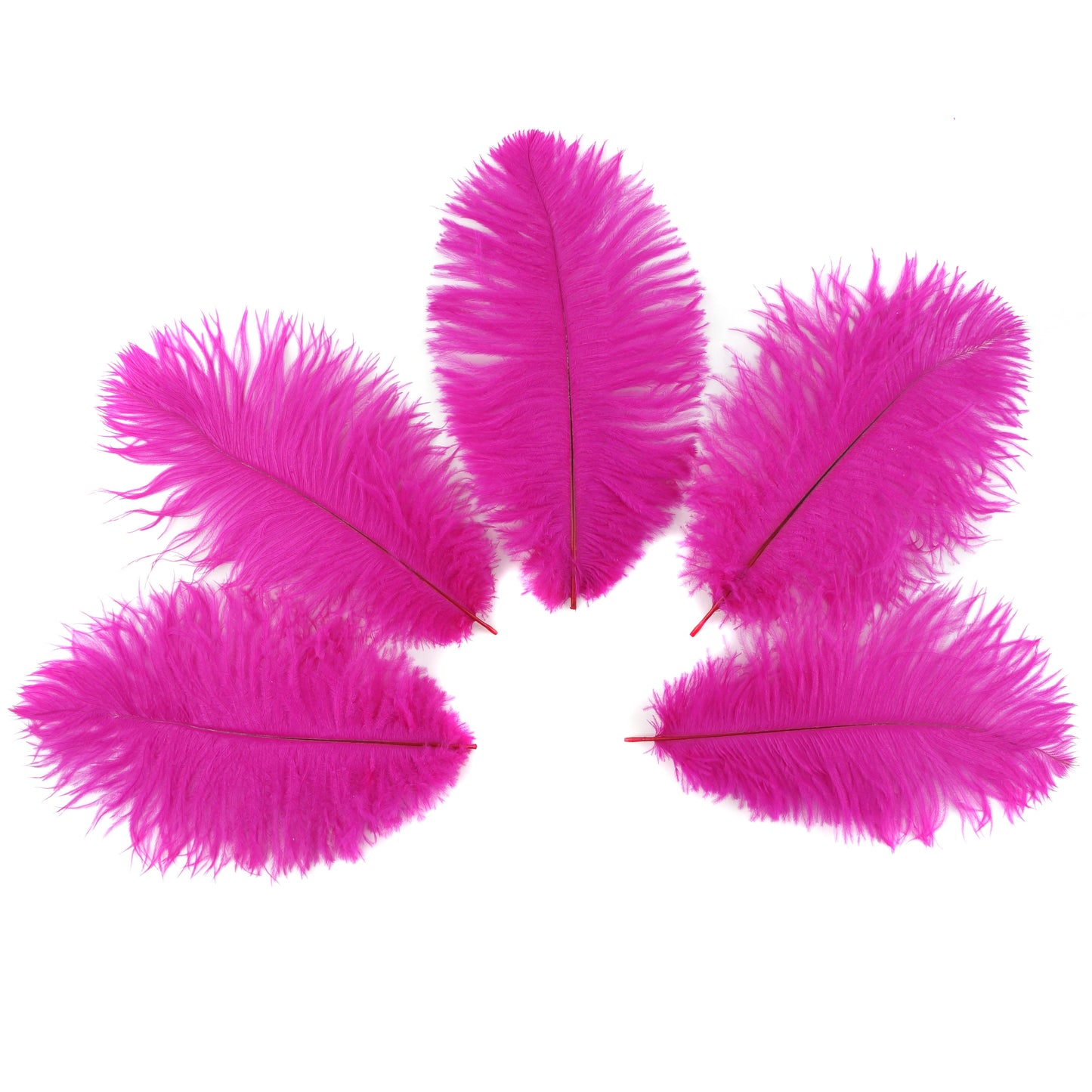 Ostrich Feathers 9-12" Drabs - Shocking Pink