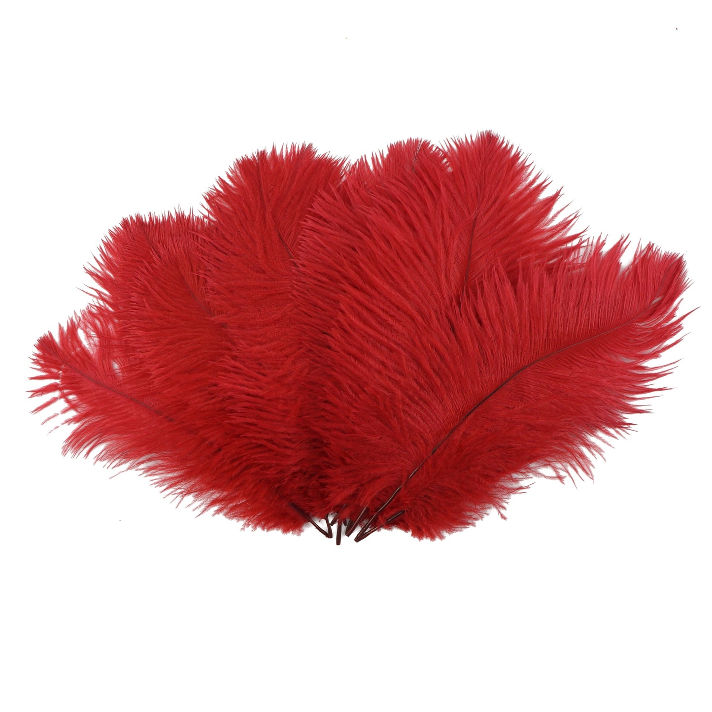 Ostrich Feathers 9-12" Drabs -  Red