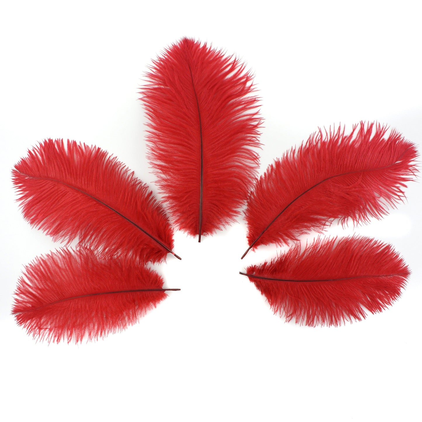 Ostrich Feathers 9-12" Drabs -  Red