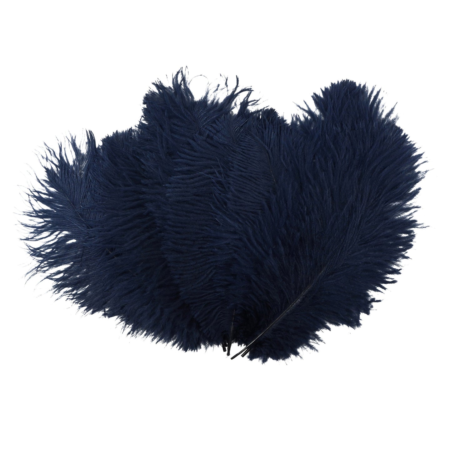 Ostrich Feathers 9-12" Drabs - Navy