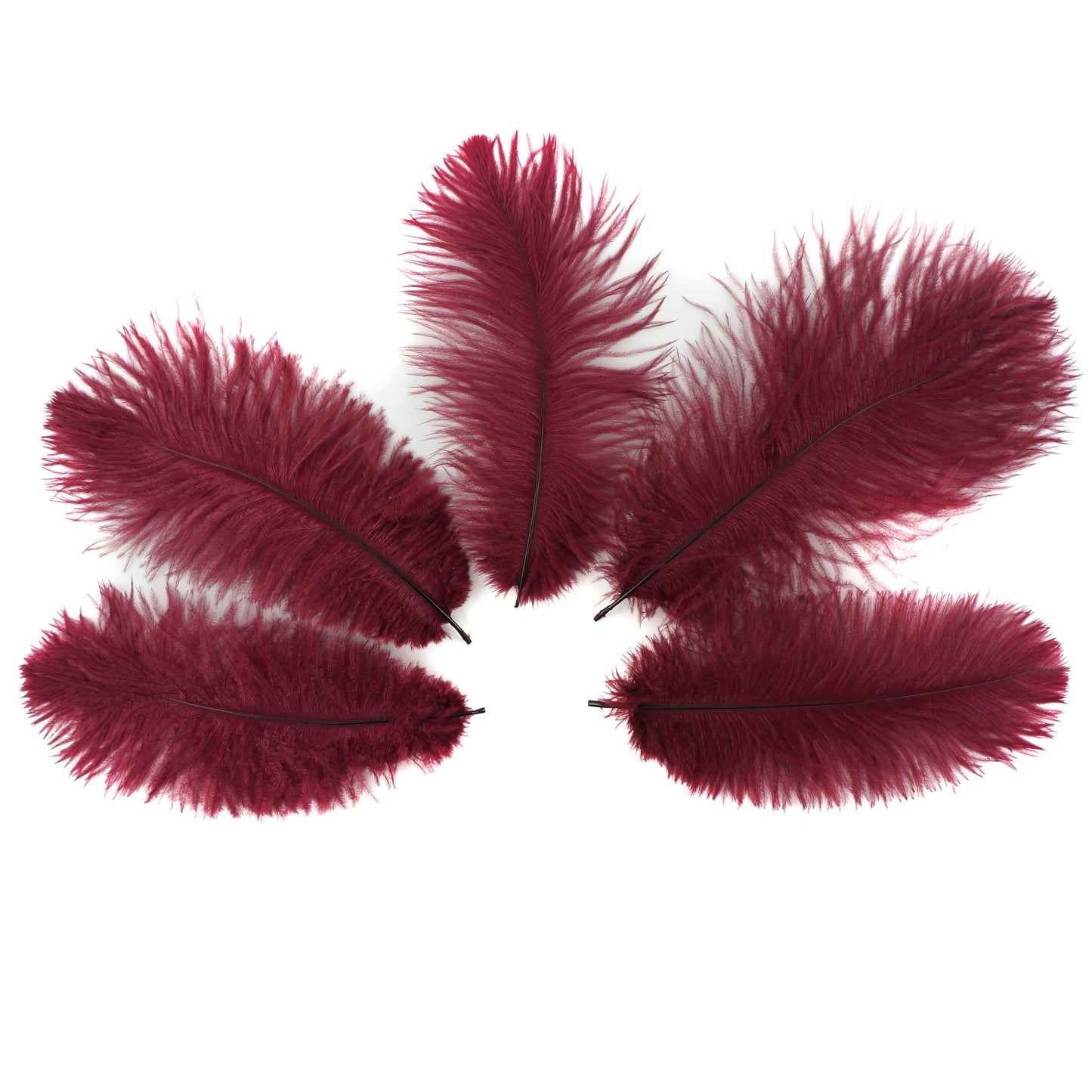 Ostrich Feathers 9-12" Drabs -  Burgundy