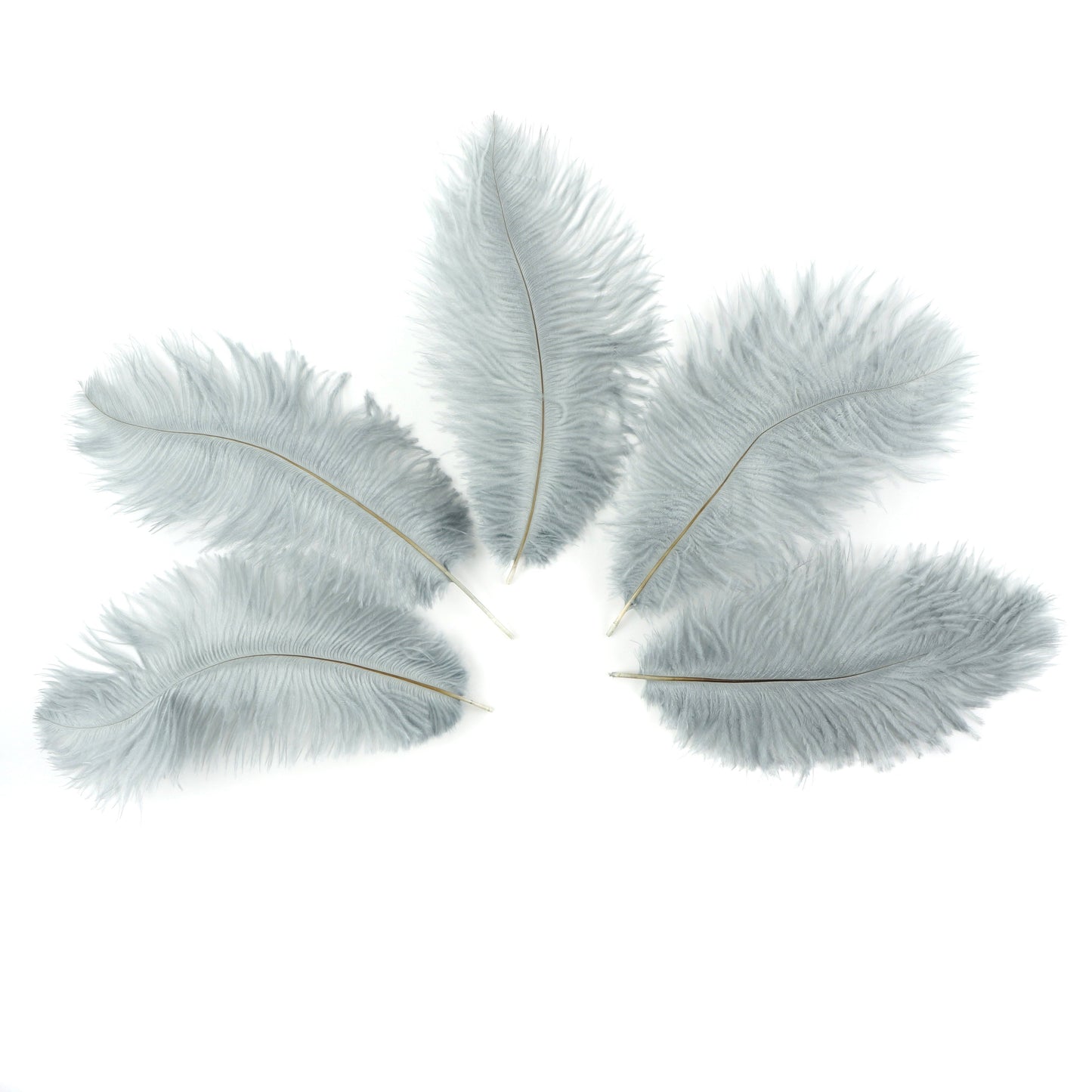 Ostrich Feathers 9-12" Drabs - Silver