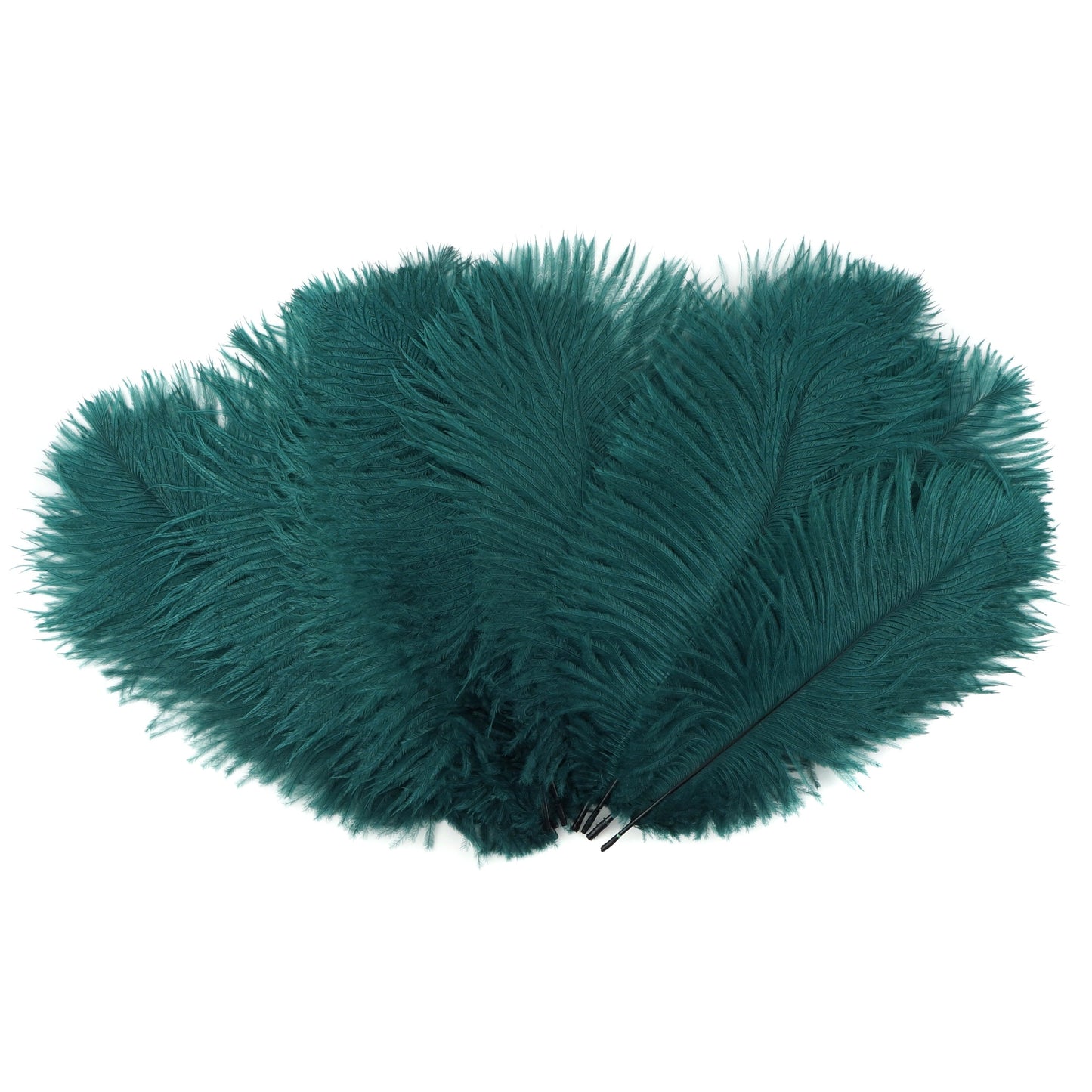 Ostrich Feathers 9-12" Drabs - Teal