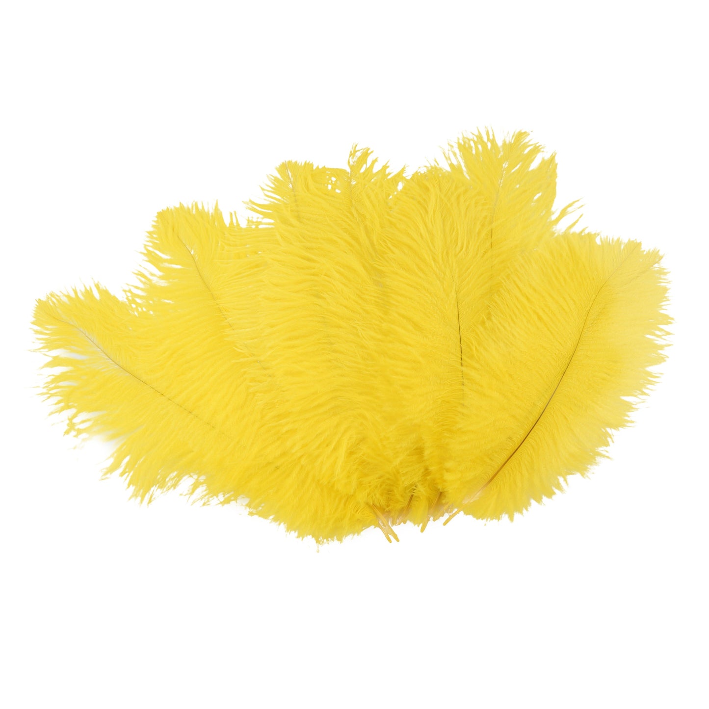 Ostrich Feathers 9-12" Drabs - Yellow