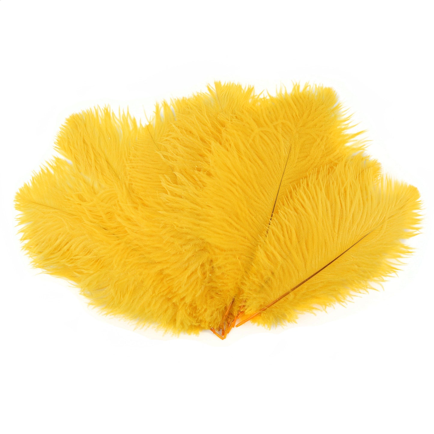 Ostrich Feathers 9-12" Drabs - Gold