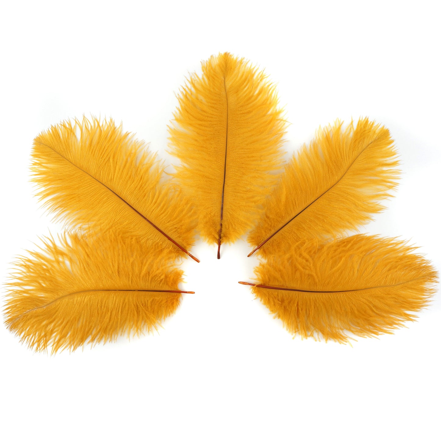 Ostrich Feathers 9-12" Drabs - Marigold