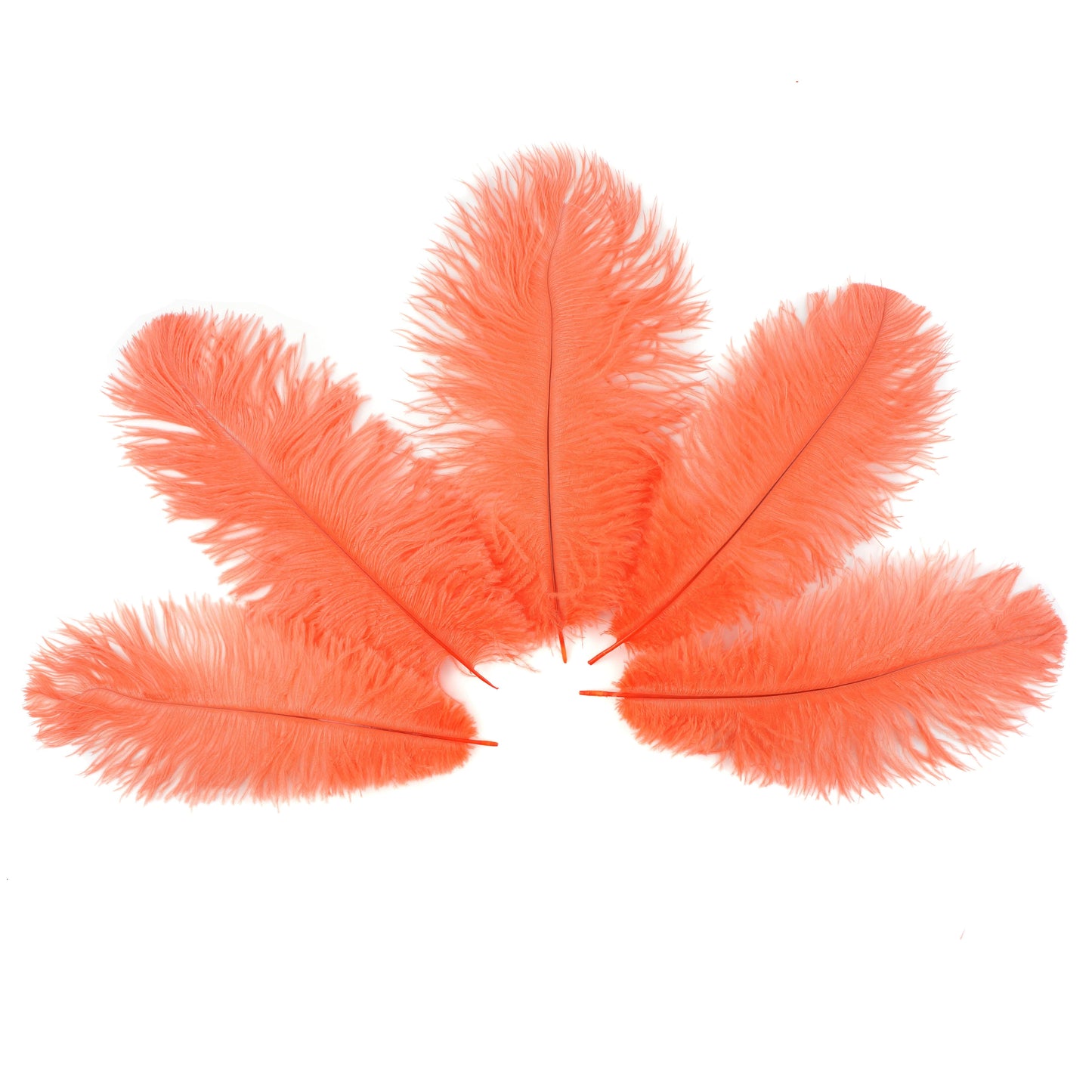 Ostrich Feathers 9-12" Drabs - Hot Orange