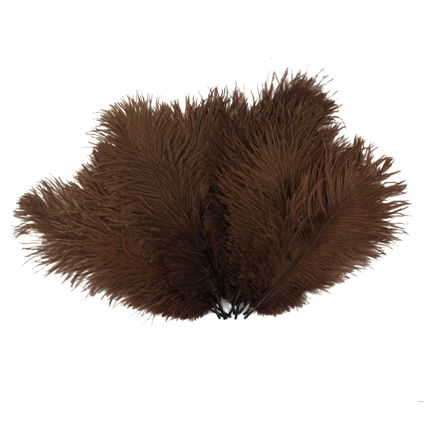 Ostrich Feathers 9-12" Drabs -  Brown