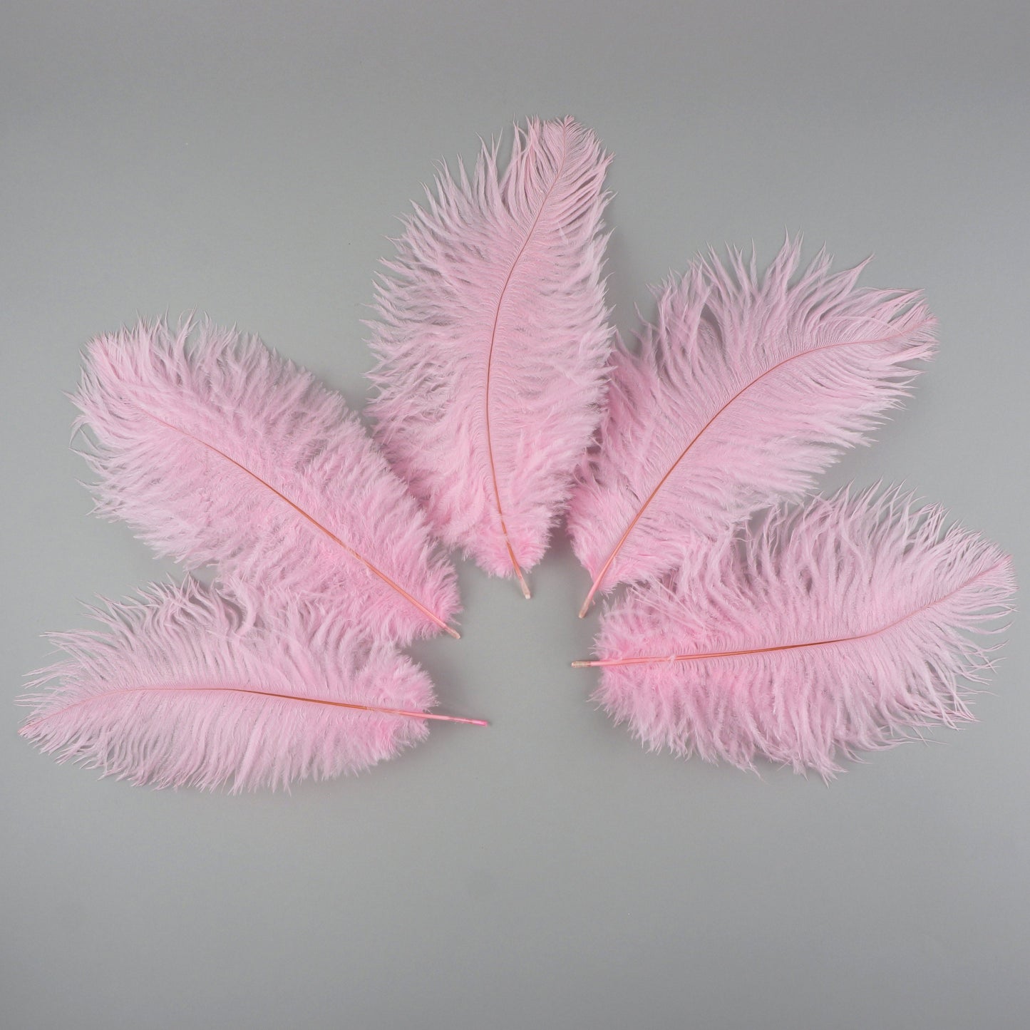 Ostrich Feathers 9-12" Drabs -  Candy Pink