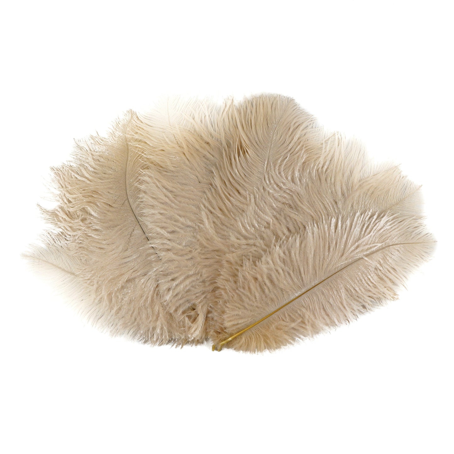 Ostrich Feathers 9-12" Drabs -  Beige