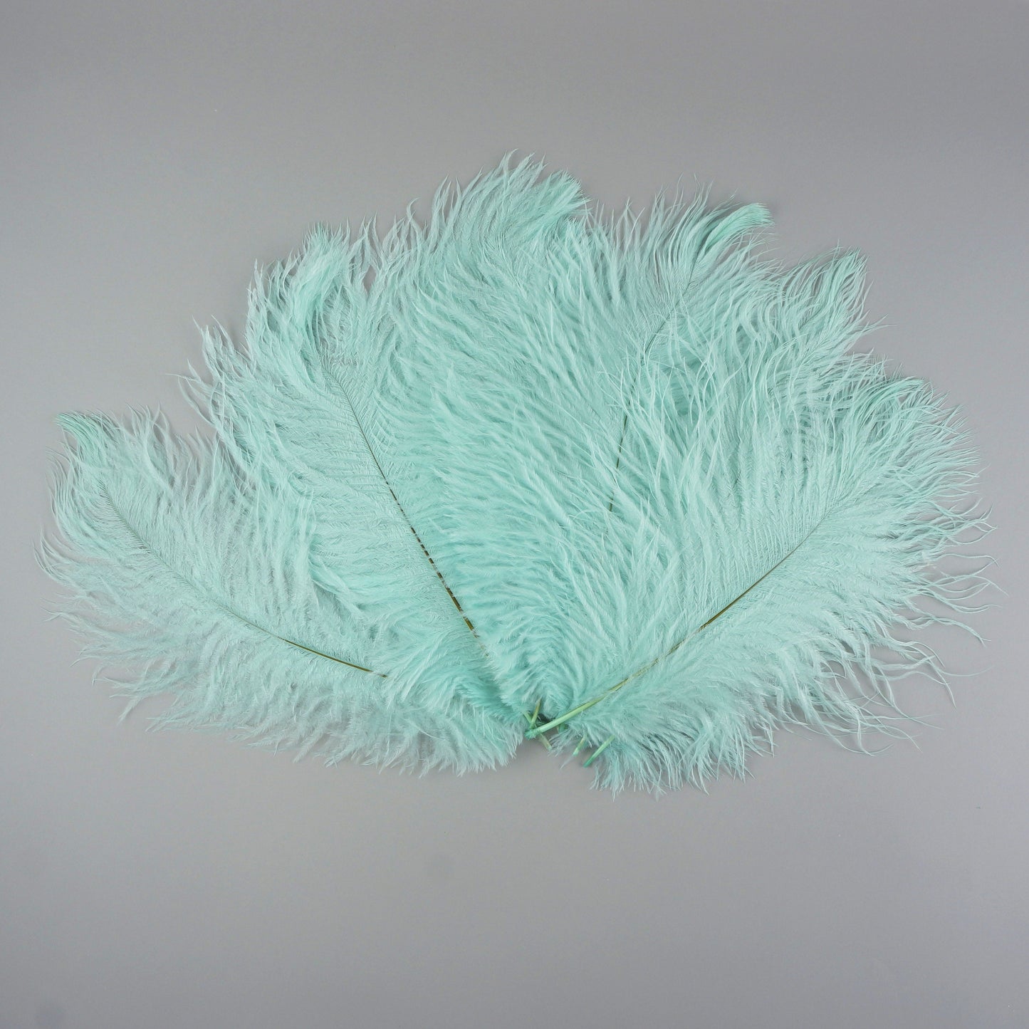 Ostrich Feathers 9-12" Drabs - Mint