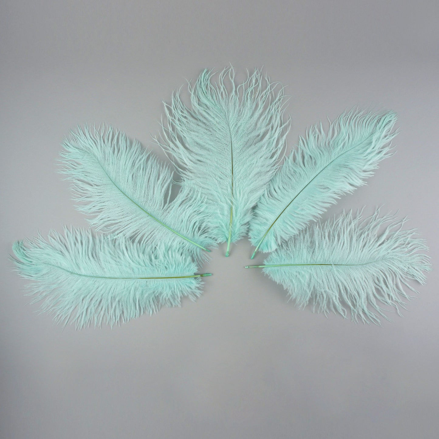 Ostrich Feathers 9-12" Drabs - Mint