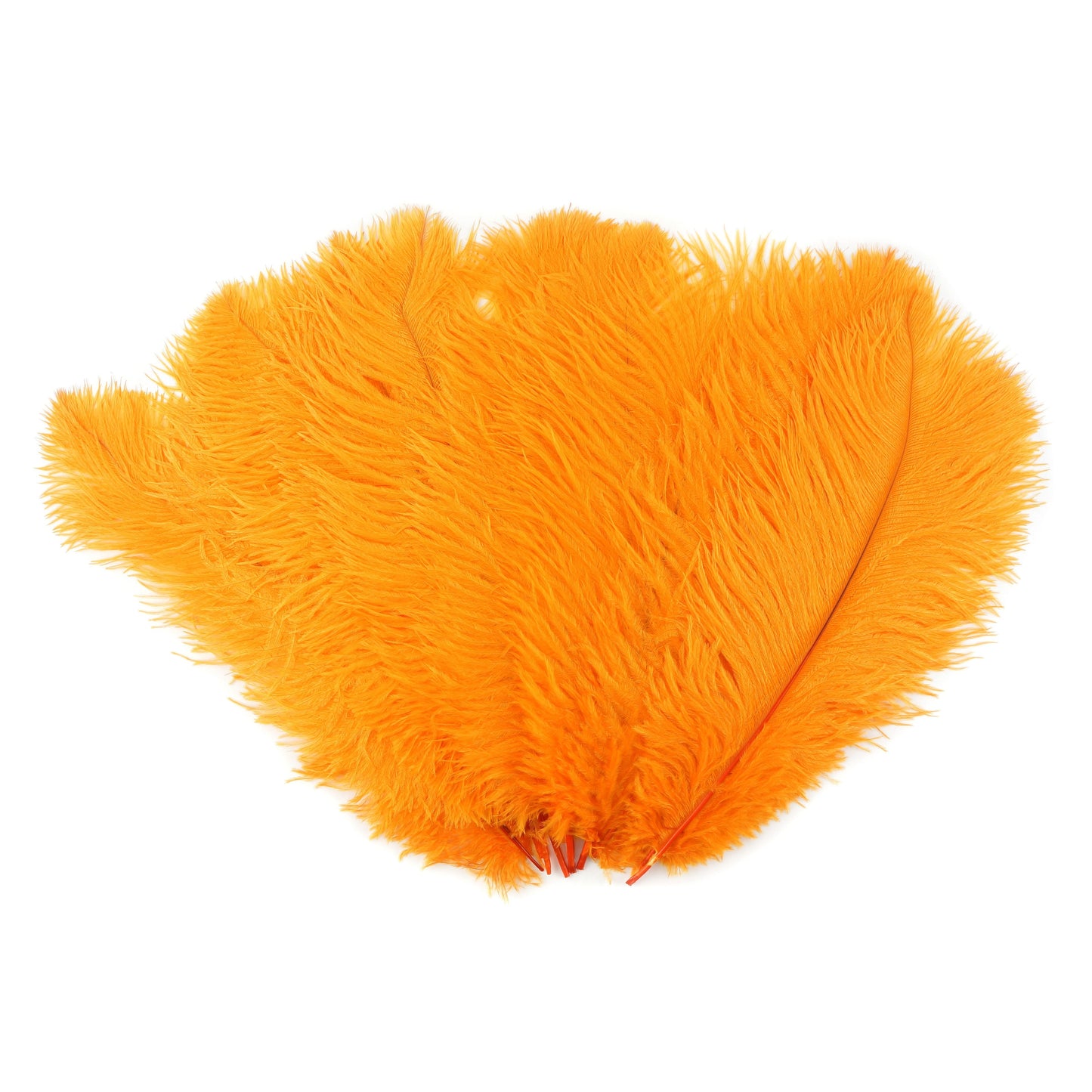 Ostrich Feathers 13-16" Drabs - Mango